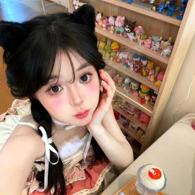 盗贼生涯